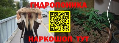 СК Мариинск