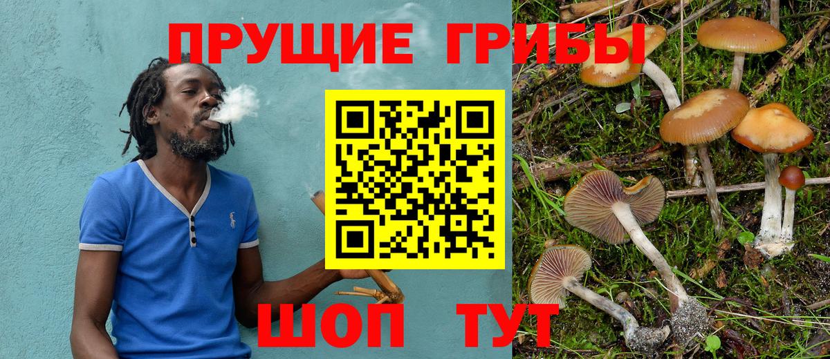 Галлюциногенные грибы мухоморы Звенигород