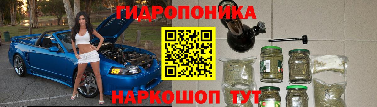 Марихуана семена Звенигород